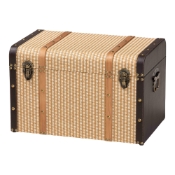 Baxton Studio Manton Storage Trunk - Decorative Storage Chest with Hinged Top and Woven Exterior for Living Room or Bedroom